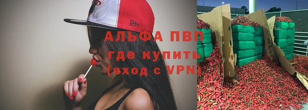 винт Алексин