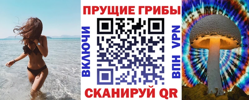 Псилоцибиновые грибы Cubensis  Печоры 